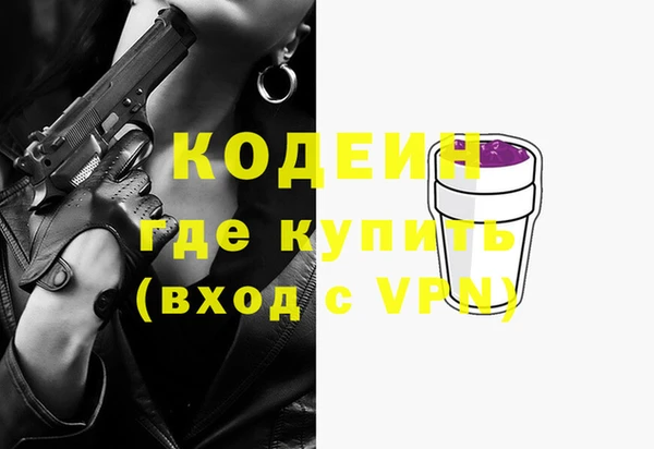 тгк Гусев