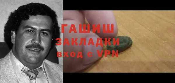 тгк Гусев
