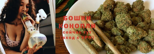 тгк Гусев