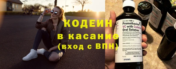 тгк Гусев