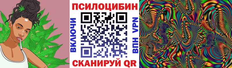 Галлюциногенные грибы Psilocybine cubensis  Стерлитамак 